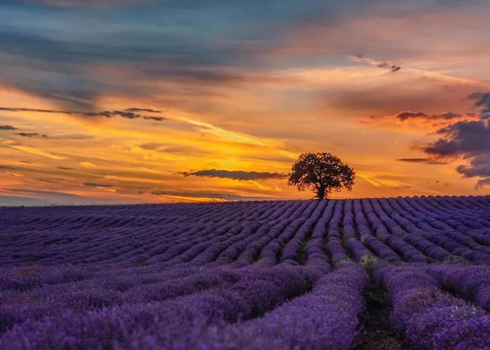 Maison Chaleureuse En Provence